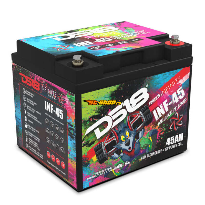 DS18 INF-45 DSE Infinite AGM Power Cell Batteries