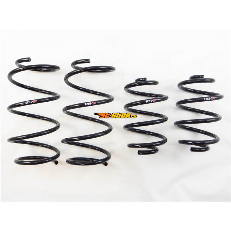 RSR Down Sus Springs RS-R N205D