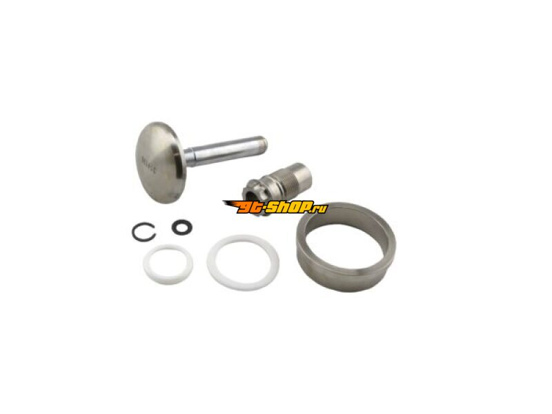 Turbosmart TS-0553-3002 TS Wastegate Accessories