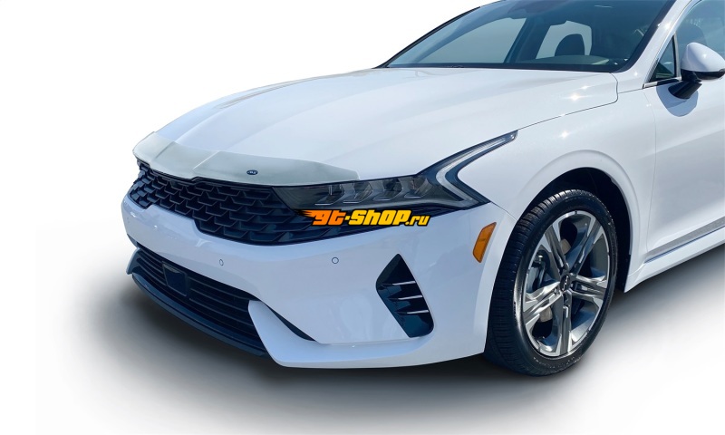 AVS 622199 AVS Aeroskin Shield - Chrome