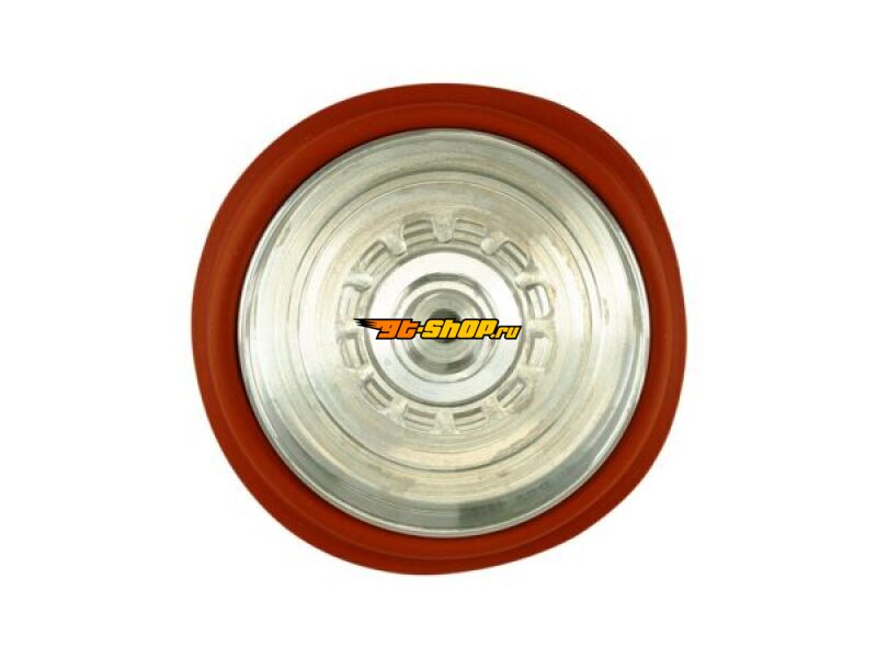 Turbosmart TS-0600-3052 TS Wastegate Accessories