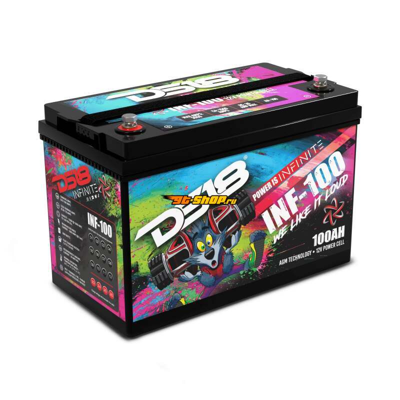 DS18 INF-100 DSE Infinite AGM Power Cell Batteries