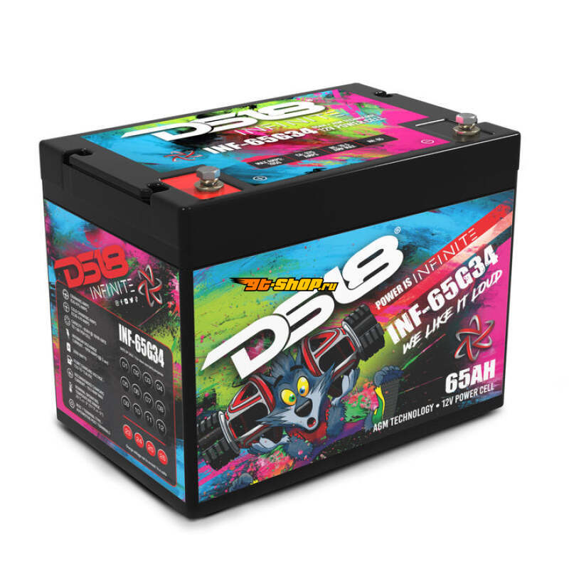 DS18 INF-65G34 DSE Infinite AGM Power Cell Batteries