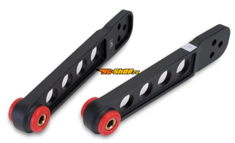Skunk2 Racing 542-05-0223 SK Control Arms