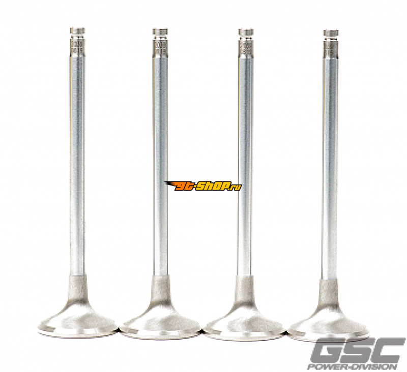 GSC Power Division 2039-01 GSC Exhaust Valve Sets -STD