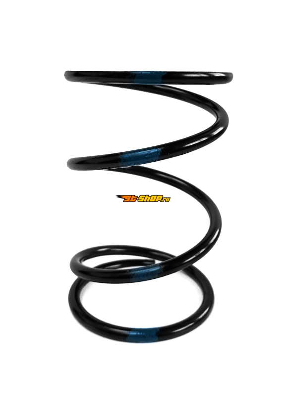 EPI PEBS28 EPI Clutch Springs