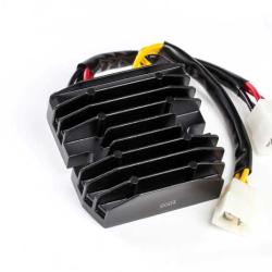 RICKS MOTORSPORT ELECTRICS 10007H