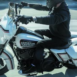 BURLY BRAND B131050B