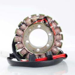 RICKS MOTORSPORT ELECTRICS 21111