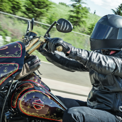 SPEED AND STRENGTH 880365