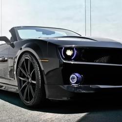 ORACLE LIGHTING 2980504