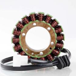 RICKS MOTORSPORT ELECTRICS 21103