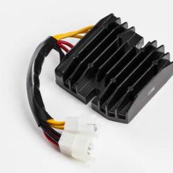 RICKS MOTORSPORT ELECTRICS 10219H