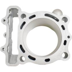 CYLINDER WORKS CW310161