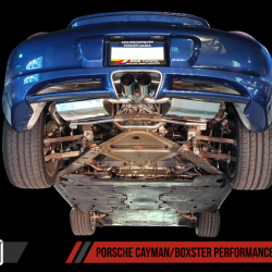 AWE Tuning 3010-22014