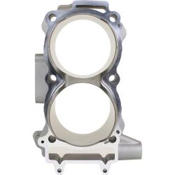 CYLINDER WORKS 610011