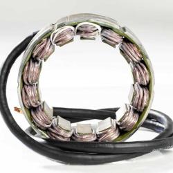 RICKS MOTORSPORT ELECTRICS 21031