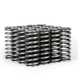 SKUNK2 RACING 311051345