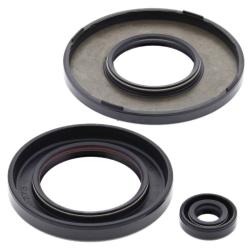 VERTEX PISTONS 55223