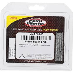 Pivot Works 25-1743-P