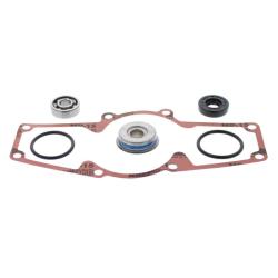 VERTEX PISTONS 721289