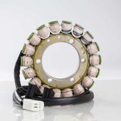 RICKS MOTORSPORT ELECTRICS 21105