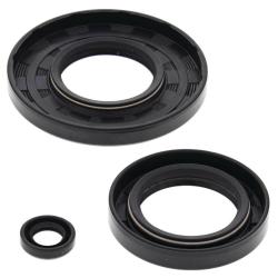 VERTEX PISTONS 55102