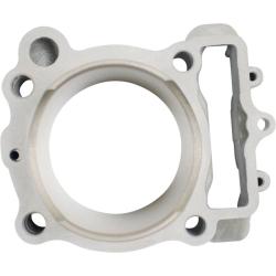 CYLINDER WORKS CW30016K01