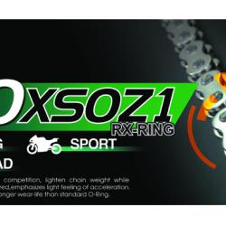 RK CHAIN 530XSOZ1102