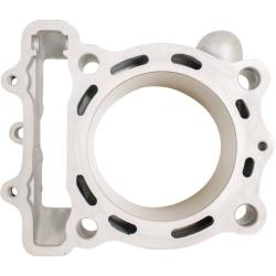 CYLINDER WORKS CW310171