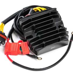 RICKS MOTORSPORT ELECTRICS 10559H