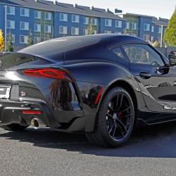 PERRIN PERFORMANCE PTPBDY250BK