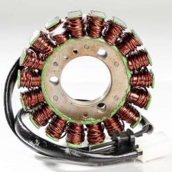 RICKS MOTORSPORT ELECTRICS 21206