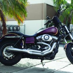 PROGRESSIVE 4124083B