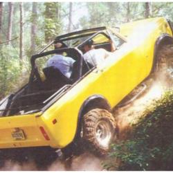 Bushwacker 60001-01