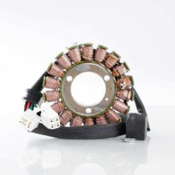 RICKS MOTORSPORT ELECTRICS 21801H