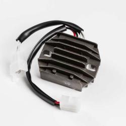 RICKS MOTORSPORT ELECTRICS 10224