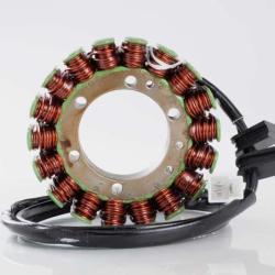 RICKS MOTORSPORT ELECTRICS 21107