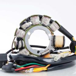 RICKS MOTORSPORT ELECTRICS 21555