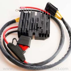 RICKS MOTORSPORT ELECTRICS 10566H