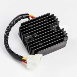 RICKS MOTORSPORT ELECTRICS 10006