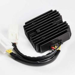 RICKS MOTORSPORT ELECTRICS 10129