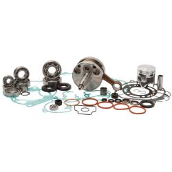 VERTEX PISTONS WR101109