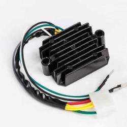 RICKS MOTORSPORT ELECTRICS 10100