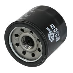 aFe 44-PS003