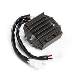 RICKS MOTORSPORT ELECTRICS 10216