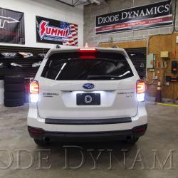 Diode Dynamics DD3045