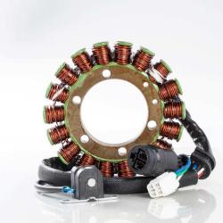 RICKS MOTORSPORT ELECTRICS 21917