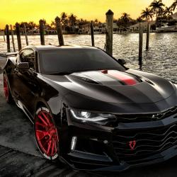 ORACLE LIGHTING 1293333