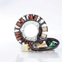 RICKS MOTORSPORT ELECTRICS 21704H